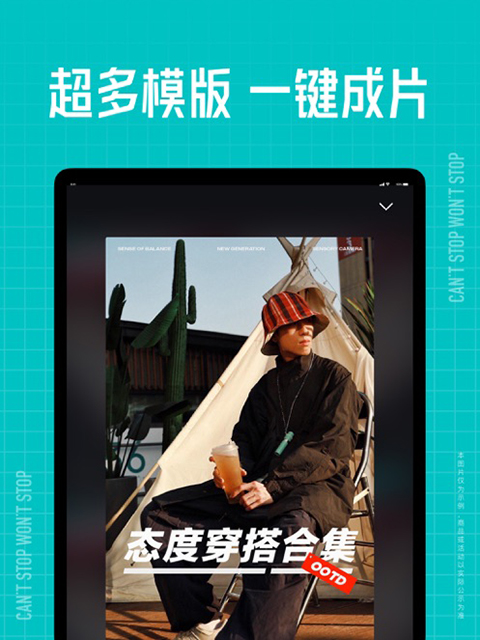 獾群掘土现星砂铺成毯壁纸